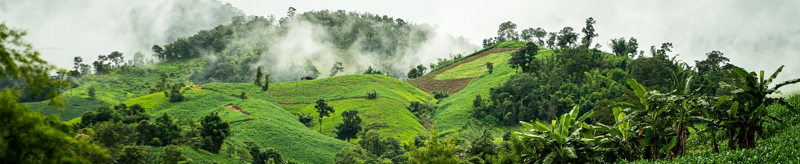 African hills